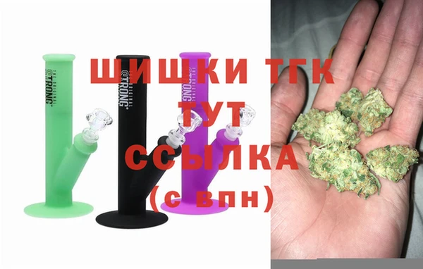 прущие грибы Пролетарск