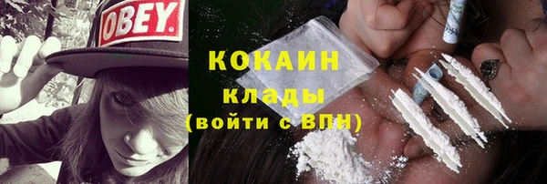 прущие грибы Пролетарск