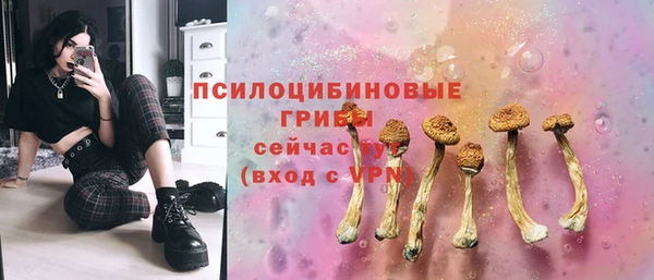 МДМА Приозерск